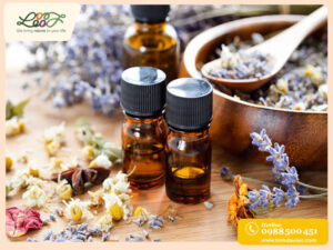 Tinh dầu treo xe ô tô