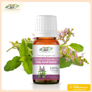 Tinh dầu hương nhu tía