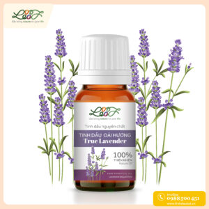 Tinh dầu oải hương True