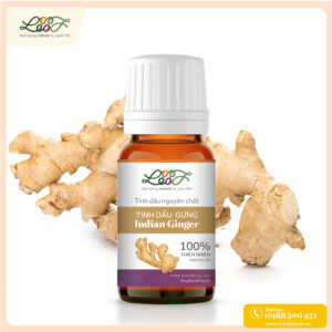 Tinh dầu gừng ấn