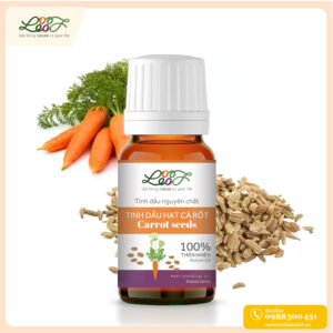Tinh dầu cà rốt hạt